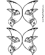 Birds Print or color